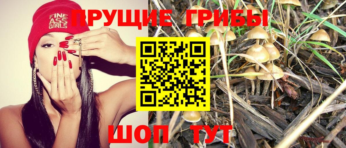 Шахты  Галлюциногенные грибы GOLDEN TEACHER  Вход с VPN 